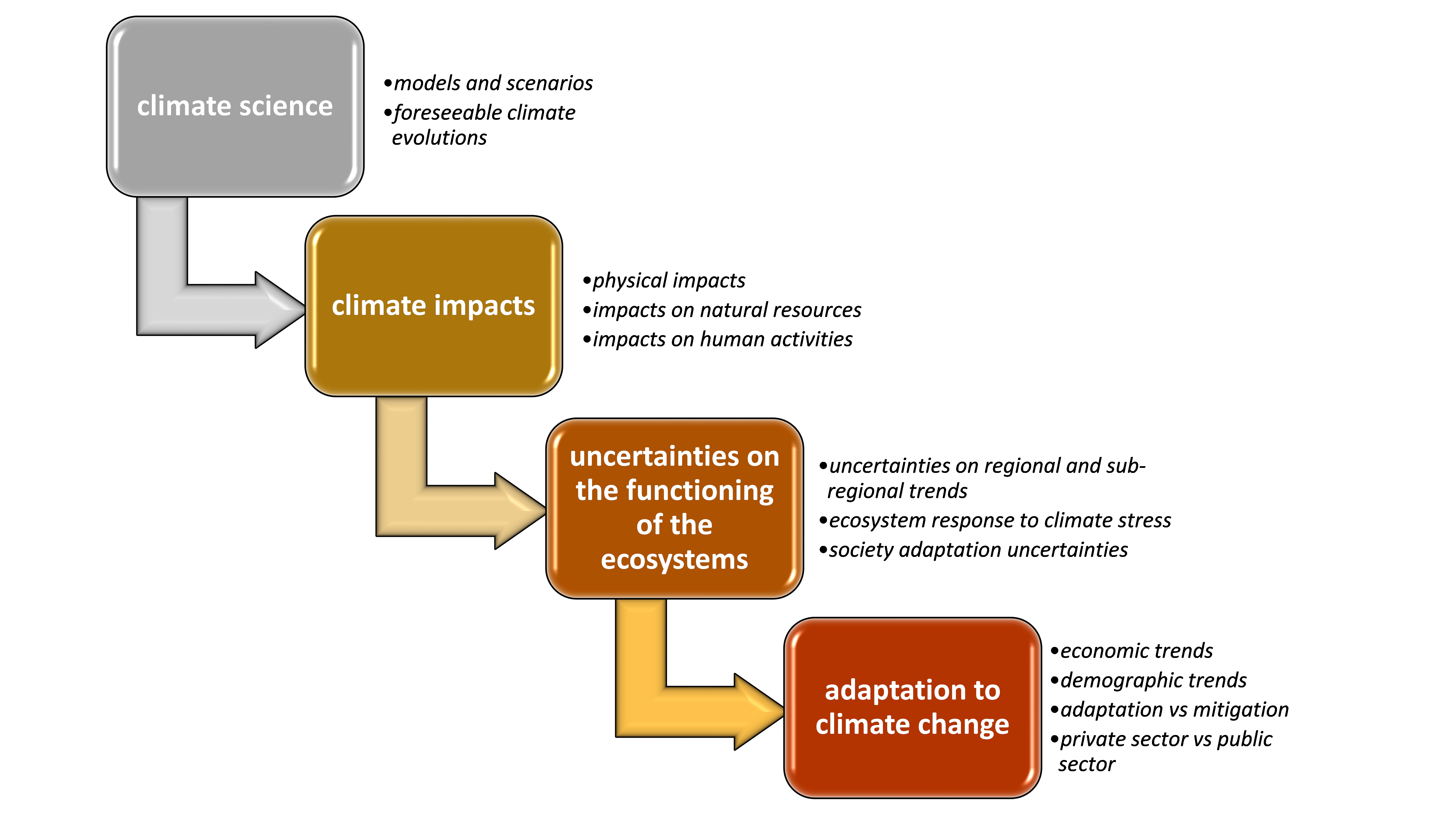 Εικόνα επιλογής